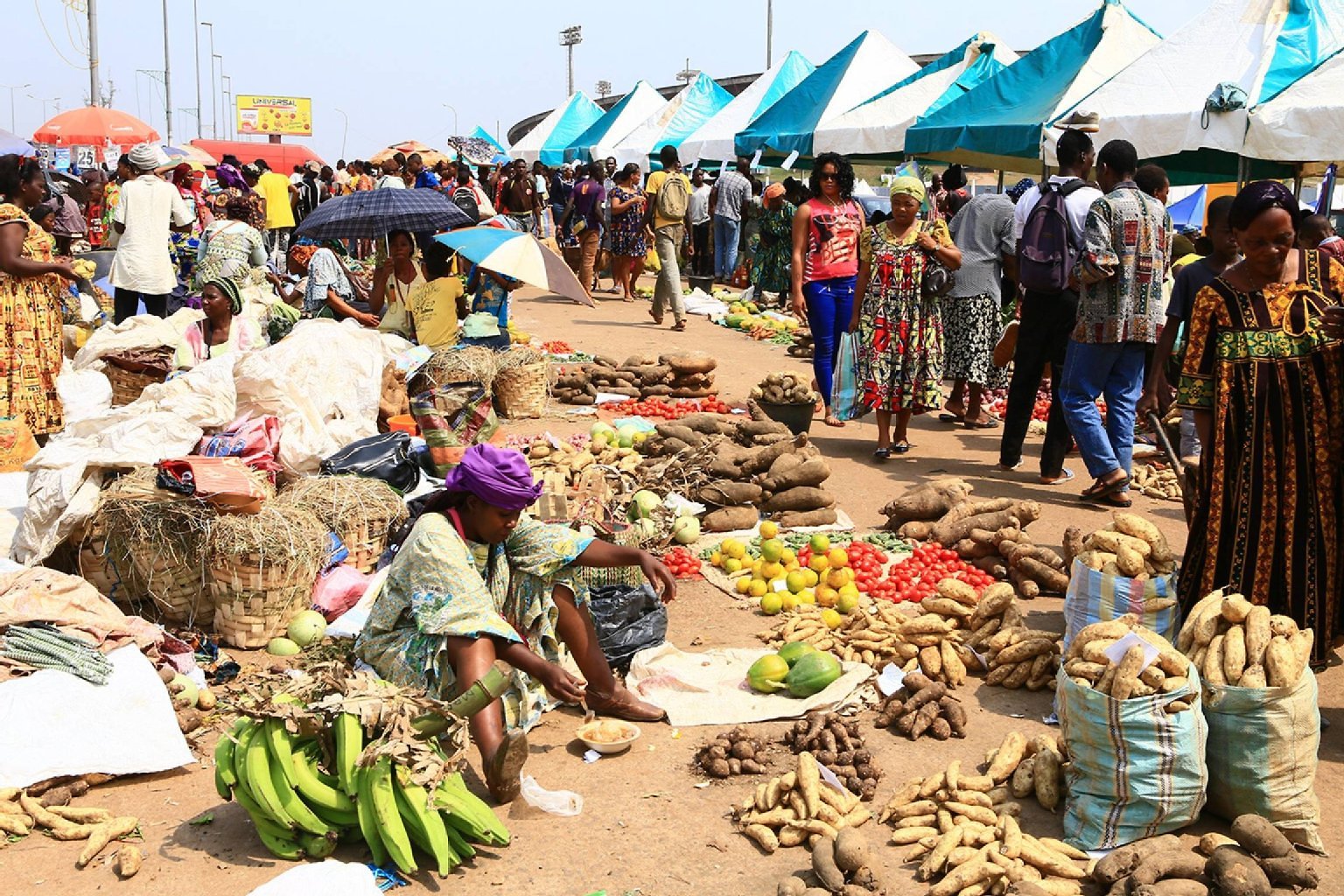Food and Economy in Cameroon
